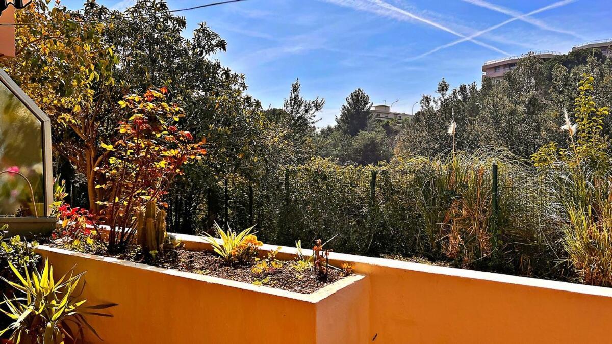 Dolce Apartment Nizza